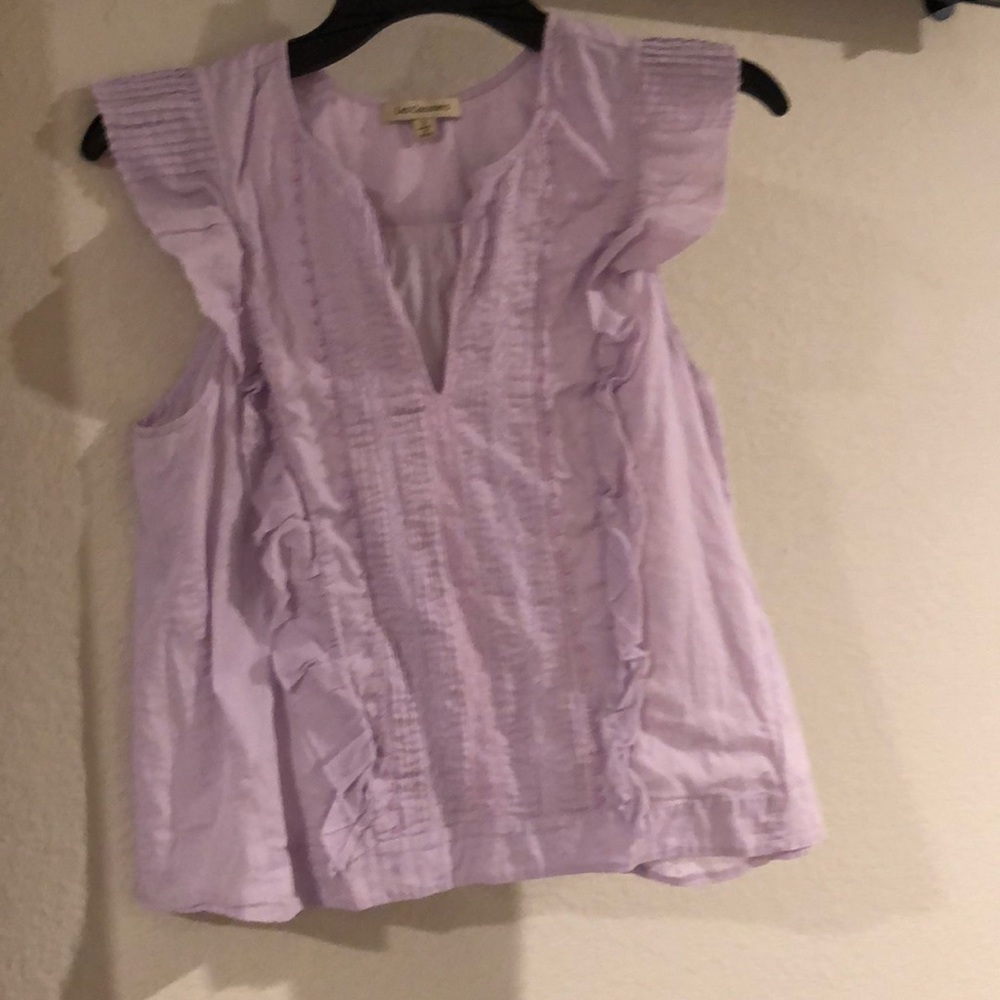 Flutter sleeve cropped blouse.